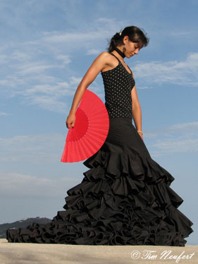 La Flamenca