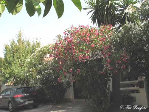 Garage und Autostellplatz vorne