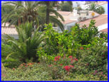 Garten von oben