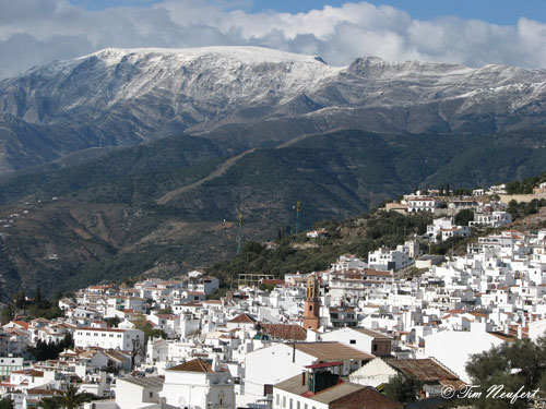 Maroma, h&ouml;chster Berg der Sierra Tejeda, 2065m
