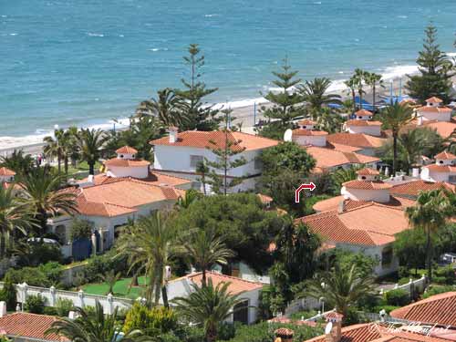 Erholung unter Araukarien und Palmen